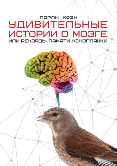 Андреа Рок - Мозг во сне. Что происходит с мозгом, пока мы спим