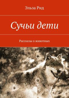 Ксения Андреева - В раю свои причуды