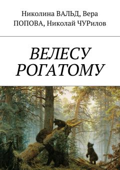 Николай Чурилов - Любомир. По мотивам повести Веры Поповой «Ночь на Ярилу Мокрого»