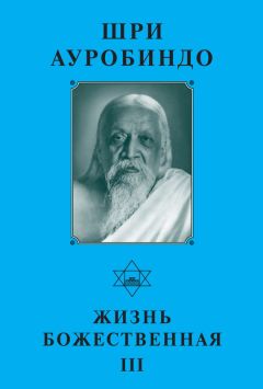 Сергей Лазарев - Диагностика кармы. Книга 2. Чистая карма. Часть 2