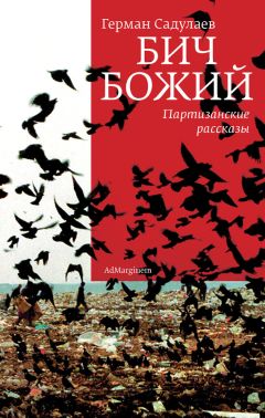 Герман Садулаев - Бич Божий. Партизанские рассказы (сборник)