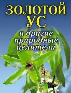 Людмила Антонова - Золотой ус. Целебные настойки, кремы, отвары