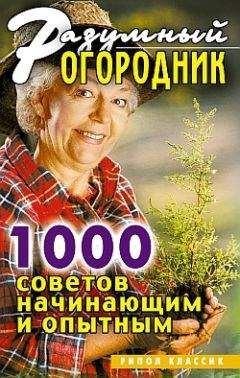 Дарья Нестерова - 1000 самых остроумных SMS-посланий