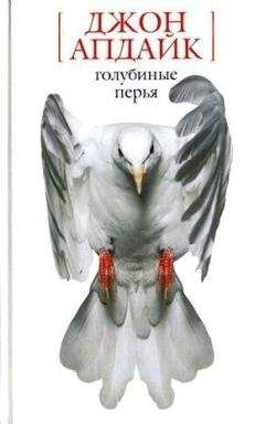 Теренс Уайт - Король Артур (сборник)