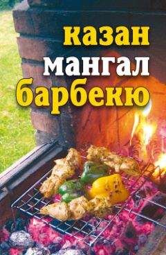 Ирина Зайцева - Мангал, казан, барбекю. Вкуснейшие блюда мужскими руками