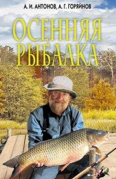 Сергей Сидоров - Техника ловли из-подо льда, или Как поймать крупную рыбу зимой