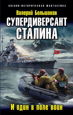 Валерий Большаков - Преторианец. Кентурия особого назначения