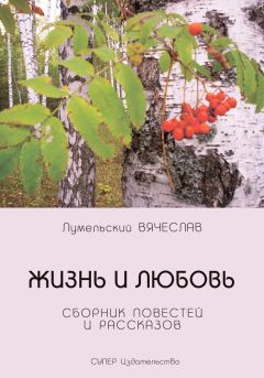 Ольга Сорокина - Пробуждение. Сборник рассказов