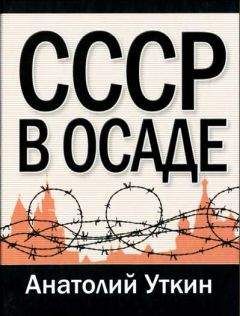 Анатолий Кошкин - «Кантокуэн» — «Барбаросса» по-японски. Почему Япония не напала на СССР