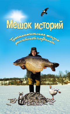 Александр Котюсов - Гнездовье бакланов, или У каждого свое Саргассово море