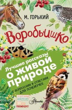 Ирина Жаворонкова - Как Башмак учился летать. Рассказы и сказки для детей