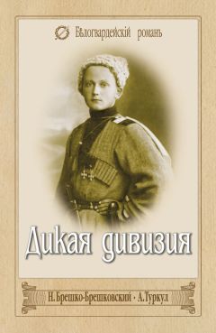 Николай Брешко-Брешковский - Дикая дивизия. Дроздовцы в огне