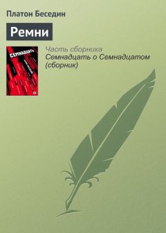 Платон Беседин - Ремни