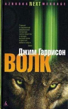 Джефф Николсон - Бедлам в огне