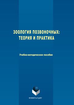 Вадим Коровин - Зоология позвоночных. Теория и практика