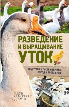 Юрий Пернатьев - Разведение и выращивание уток, индоуток и гусей обычных пород и бройлеров