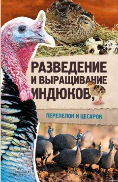 Юрий Пернатьев - Разведение и выращивание индюков, перепелок и цесарок