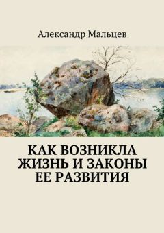 Александр Мальцев - Как возникла жизнь и законы ее развития