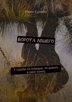 Андрей Голышков - Клинки Керитона (Свитки Тэйда и Левиора). Дорога на Эрфилар