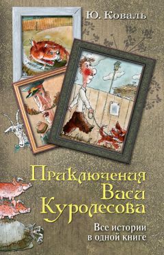 Владимир Алеников - Приключения Петрова и Васечкина