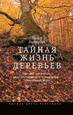 Джонджо МакФадден - Жизнь на грани. Ваша первая книга о квантовой биологии