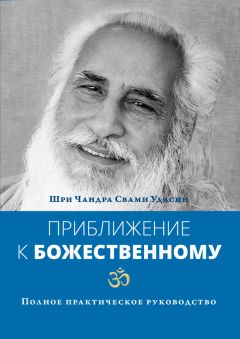 Павел Ляпин - «Мужская» диета, или Как похудеть без силовых нагрузок? Практическое руководство