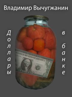 Владимир Вычугжанин - Доллары в банке (сборник)