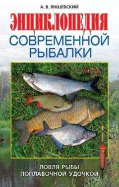 Андрей Яншевский - Энциклопедия современной рыбалки. Ловля рыбы поплавочной удочкой