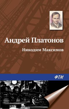 Андрей Платонов - Бой в грозу