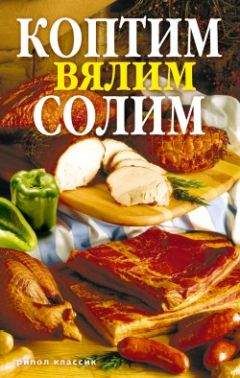 Виктор Андреев - Коптим, вялим, солим, маринуем мясо, рыбу, птицу, сало, сыр. 700 домашних рецептов