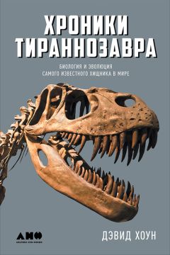 Рэй Курцвейл - Эволюция разума, или Бесконечные возможности человеческого мозга, основанные на распознавании образов