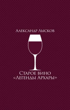 Александр Такмаков - Провокаторы