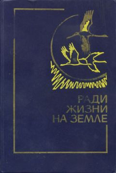 Виктор Кондратенко - Без объявления войны