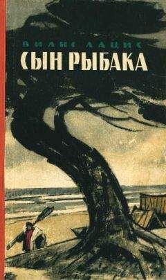 Вилис Лацис - Собрание сочинений. Т. 3. Буря