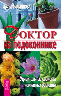 Ольга Климова - Живица Земная. Советы и рецепты от известного травника