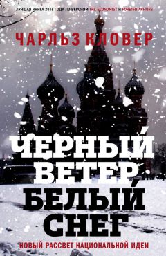 Чарльз Кловер - Черный ветер, белый снег. Новый рассвет национальной идеи