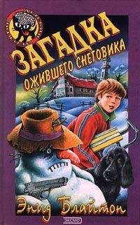 Энид Блайтон - Загадка морской пещеры