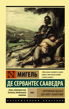 Мигель де Сервантес Сааведра - Хитроумный идальго Дон Кихот Ламанчский. Т. II