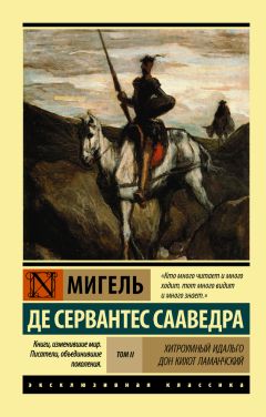 Мигель де Сервантес Сааведра - Хитроумный идальго Дон Кихот Ламанчский. Т. I