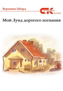 Александр Белых - Феноменологический кинематограф. О прозе и поэзии Николая Кононова