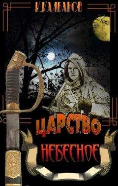 Константин Воронин - Выполняя приказ