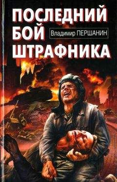 Владимир Першанин - «Зверобои» против «Тигров». Самоходки, огонь!