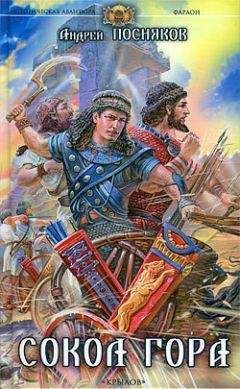 Кристиан Жак - Пылающий меч