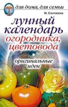 Наталия Правдина - Магический календарь 2011