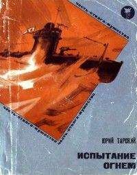 Михаил Одинцов - Испытание огнем. Лучший роман о летчиках-штурмовиках