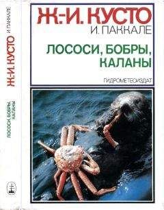 Жак-Ив Кусто Джемс Даген - Живое море