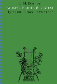 Владимир Айзенштадт - Очерки Фонтанки. Из истории петербургской культуры