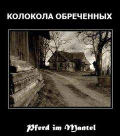 Вольфганг Хольбайн - На развалинах Парижа