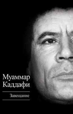 Александр Кваша - Философия политической борьбы. От классового противостояния в обществе к смысловому равновесию в социуме