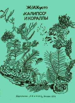 Жак-Ив Кусто - Сюрпризы моря